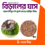 Cat Grass Seeds 1gm Re-Pack image