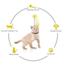 Cat Self Collar Neck Toy Spring Foot with Tap to Tease Cat Stick Spring Cat Stick image
