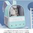 Cat Travel Bag Outdoor Backpack High Value Visible Transparent Carrier Backpack image
