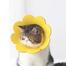 Cat and Dog Sunflower E Collar image