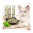 Catnip Powder cat Mint image