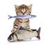 Cats Toy Realistic Flopping, Interactive Motion Kitten Toy, Plush Interactive Cat Toys Fun Toy for Cat Exercise image