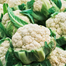 Cauliflower Seeds - 0.1Gm image