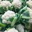 Cauliflower Seeds - 0.1Gm image