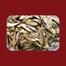 Chapila Fara Shutki Fish / Dry Fish Premium Quality image