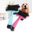 Chengtai Pet Grooming Brush Colourfully image