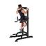 Chin Up and Dip Station Power Tower Home Use Exercise - Ab Tower image