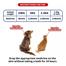 China Anti-flea/tick Spot-on Drops For Cats/ Dog 2.5ml image