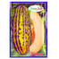 Chinal/ Bangi Fruit (Intact Pack) - 0.1gm image