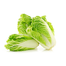Chinese Napa Cabbage Seeds Imported Seeds Re-Pack - 10 pcs image