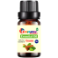 Cinnamon (Daruchini) Essential oil -10ml image