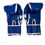 Citizen Sports 12-Ounce Boxing Gloves OZ Blue image