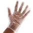 Clear Gloves 100 Pieces Large Polyethylene Gloves image