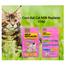 Coco Kat Milk Replacer For Kitten Cat 150gm image