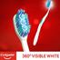 Colgate 360 degree Toothbrush (1pcs) image