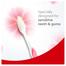 Colgate Gentle Sensitive Toothbrush (1 pcs) image