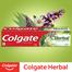 Colgate Herbal Toothpaste (200 gm) image