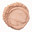 Colormax Photo Chromatic Pressed Powder 8 gm - 06 Honey image
