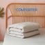 Comfort House Solid Color Lightweight King Comforter King Size - Light Gray image