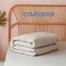 Comfort House Solid Color Lightweight King Comforter Super Single Size - Light Gray image