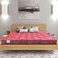 Comfy Touch Mattress 78x35x8 Inch M103 image