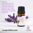 Cosprof Lavender Essential Oil image