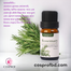 Cosprof Rosemary Essential Oil 10 ml For Hair Care image