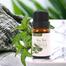 Cosprof Tea Tree Essential Oil image