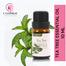 Cosprof Tea Tree Essential Oil image