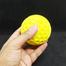 Cricket Balls Test Practice Cricket Balls Indoor (cricket_practise_ball_yellow) image