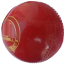 Cricket Hanging Ball image