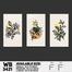 DDecorator Flower And Leaf ArtWork (Set of 3) Wall Board And Wall Canvas image