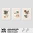 DDecorator Flower And Leaf Line Art ArtWork (Set of 3) Wall Board And Wall Canvas image