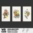 DDecorator Flower And Leaf Line Art (Set of 3) Wall Board And Wall Canvas image