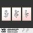 DDecorator Flower And Leaf Line Art (Set of 3) Wall Board And Wall Canvas image