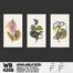 DDecorator Flower And Leaf Line Art (Set of 3) Wall Board And Wall Canvas image