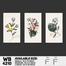 DDecorator Flower And Leaf Line Art (Set of 3) Wall Board And Wall Canvas image