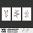 DDecorator Flower And Leaf Line Art (Set of 3) Wall Board And Wall Canvas image