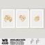 DDecorator Geomatric Shape Abstract Art (Set of 3) Wall Board And Wall Canvas image