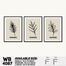 DDecorator Leaf With Abstract Art Wall Board And Wall Canvas - Set of 3 image
