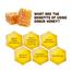 Dabur Honey 100 gm: 100 Percent Pure Honey With No Sugar Adulteration (Buy 2 100gm Honey And Get 50gm Honey Free image