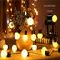 Decorative LED Fairy Light Ball Shaped Multicolor 28 bulb Light image