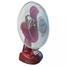 Defender/Kennede KN-2912 Rechargeable Multi-Function Table Fan -12 inch image