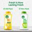 Dettol Antibacterial Bodywash Lasting Fresh 250ml Loofah Free image