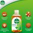 Dettol Antiseptic Liquid 100ml image