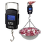 Digital Electronic Hanging Scales 50kg/10g image