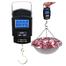 Digital Portable Mini Weight Scale image