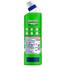 Domex Toilet Cleaning Liquid Lime Fresh 500 Ml With Dust pan free image