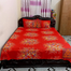 Double King Size Cotton Bed Sheet With Matching 2 Pillow Covers - Multicolor - Bed Sheet image