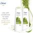 Dove Detox Ritual With Matcha and Rice Milk Shampoo 400 ml (UAE) image